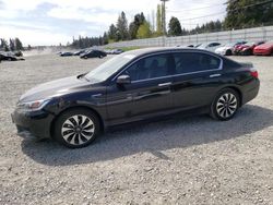 Salvage cars for sale from Copart Graham, WA: 2014 Honda Accord Hybrid