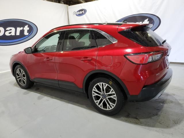 2021 Ford Escape SEL