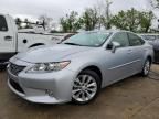 2015 Lexus ES 300H