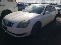 Nissan Maxima se salvage cars for sale: 2004 Nissan Maxima SE