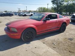 Salvage cars for sale at Lexington, KY auction: 2005 Ford Mustang