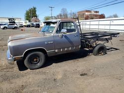 Salvage trucks for sale at New Britain, CT auction: 1989 Dodge D-SERIES D100