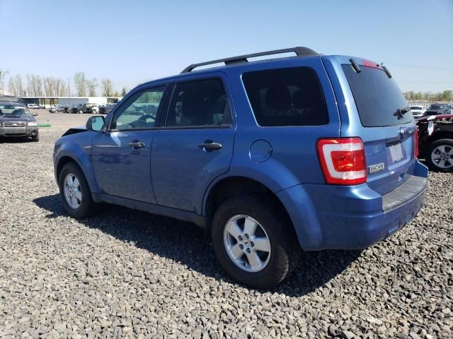 2010 Ford Escape XLT