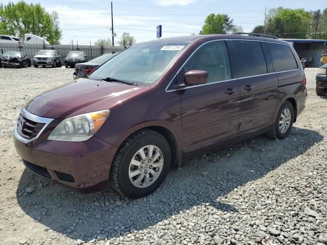 2008 Honda Odyssey EXL