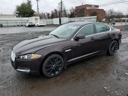 Salvage cars for sale at New Britain, CT auction: 2013 Jaguar XF