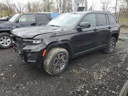 Salvage cars for sale from Copart Marlboro, NY: 2022 Jeep Grand Cherokee Trailhawk