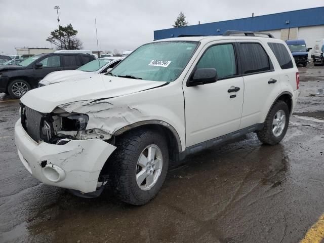 2010 Ford Escape XLT