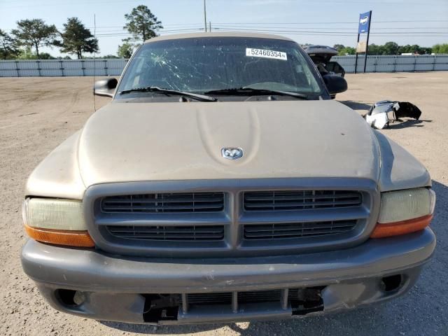 2002 Dodge Dakota Base