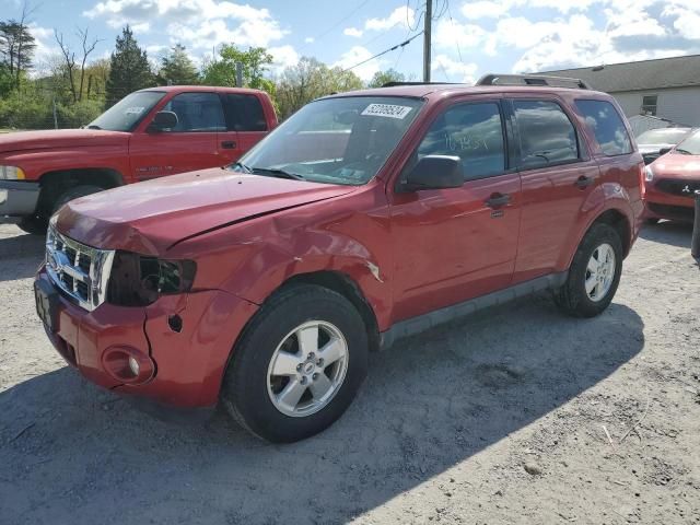 2011 Ford Escape XLT