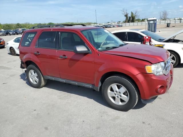 2012 Ford Escape XLS