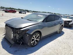 Salvage cars for sale at Arcadia, FL auction: 2016 Nissan Maxima 3.5S