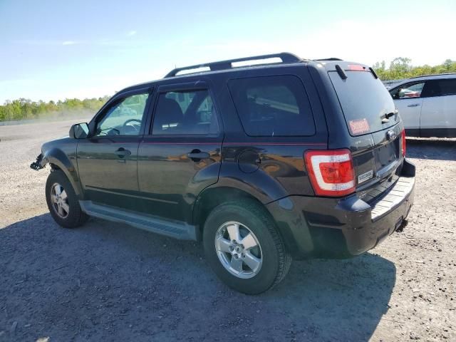 2011 Ford Escape XLT