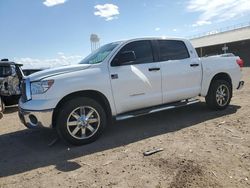 Salvage trucks for sale at Phoenix, AZ auction: 2012 Toyota Tundra Crewmax SR5