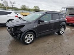 Ford salvage cars for sale: 2013 Ford Escape SE