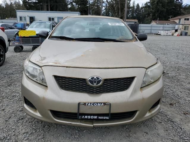 2009 Toyota Corolla Base