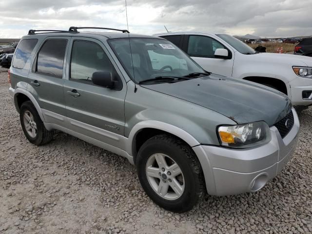 2006 Ford Escape HEV