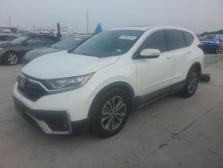 Honda salvage cars for sale: 2020 Honda CR-V EX