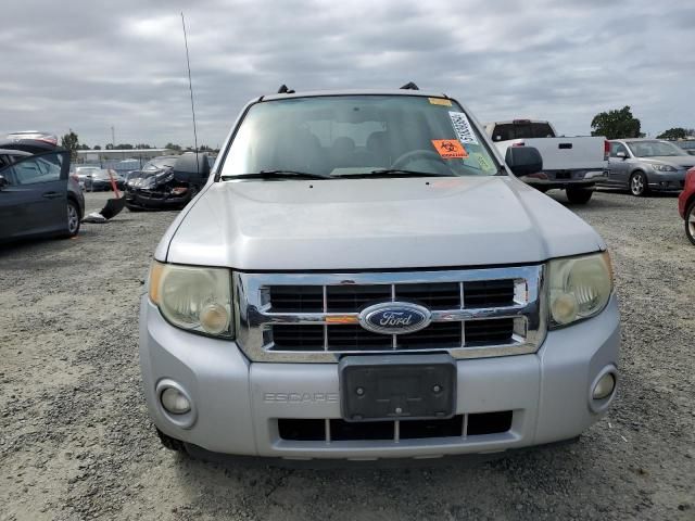 2008 Ford Escape XLT