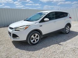 Salvage cars for sale at Arcadia, FL auction: 2013 Ford Escape SE