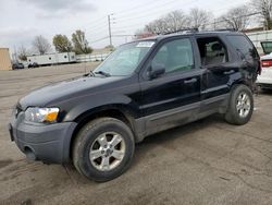 Salvage cars for sale at Moraine, OH auction: 2007 Ford Escape XLT