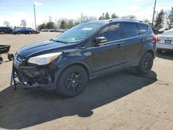 Salvage cars for sale at Denver, CO auction: 2014 Ford Escape Titanium