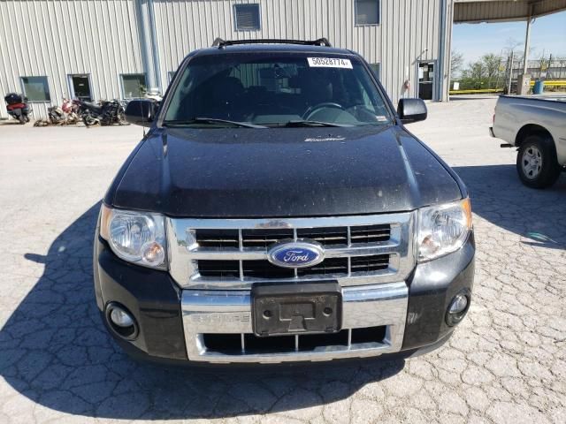 2011 Ford Escape Limited