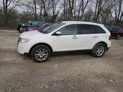 Salvage cars for sale at Cicero, IN auction: 2011 Ford Edge SEL