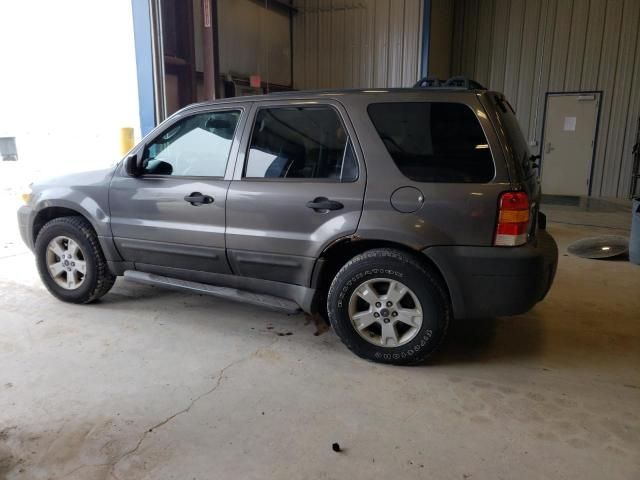 2006 Ford Escape XLT