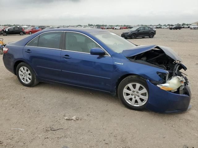 2009 Toyota Camry Hybrid