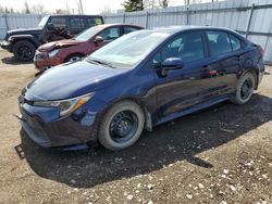 Salvage cars for sale from Copart Bowmanville, ON: 2023 Toyota Corolla LE
