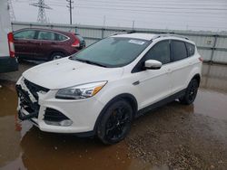 Salvage cars for sale at Elgin, IL auction: 2013 Ford Escape Titanium