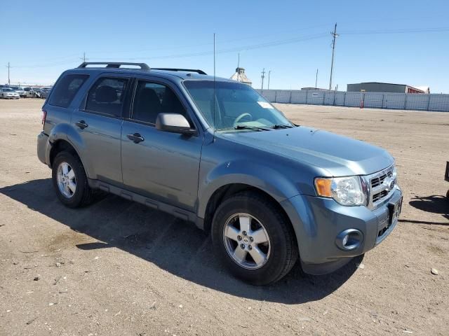 2012 Ford Escape XLT