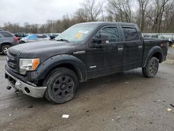 2013 Ford F150 Supercrew for sale in Ellwood City, PA