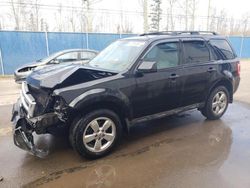 Salvage cars for sale at Moncton, NB auction: 2012 Ford Escape XLT
