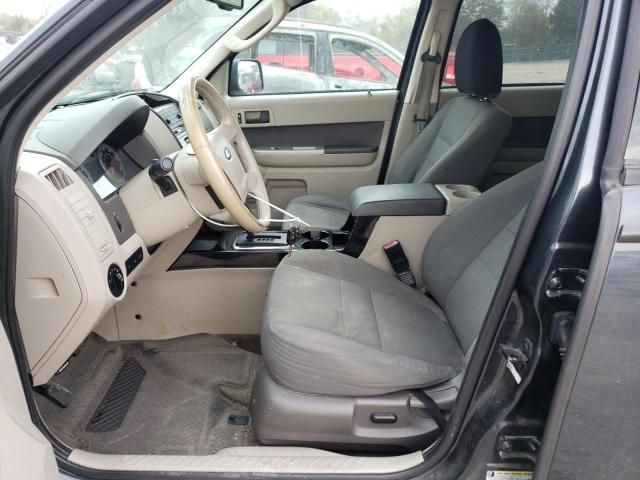 2009 Ford Escape XLT