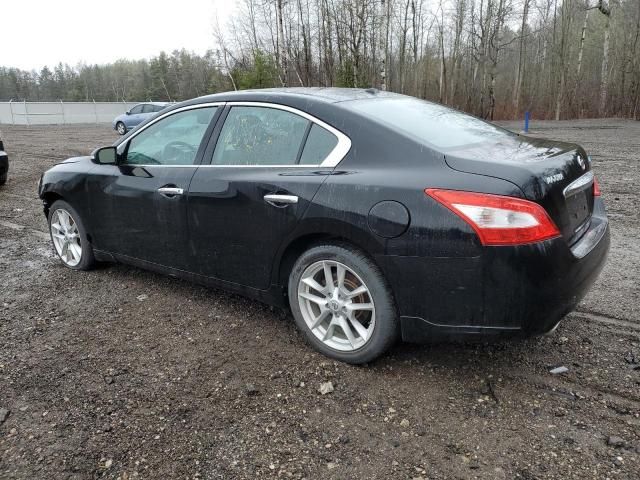 2011 Nissan Maxima S