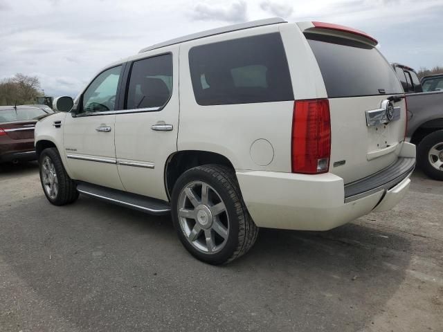 2011 Cadillac Escalade Luxury