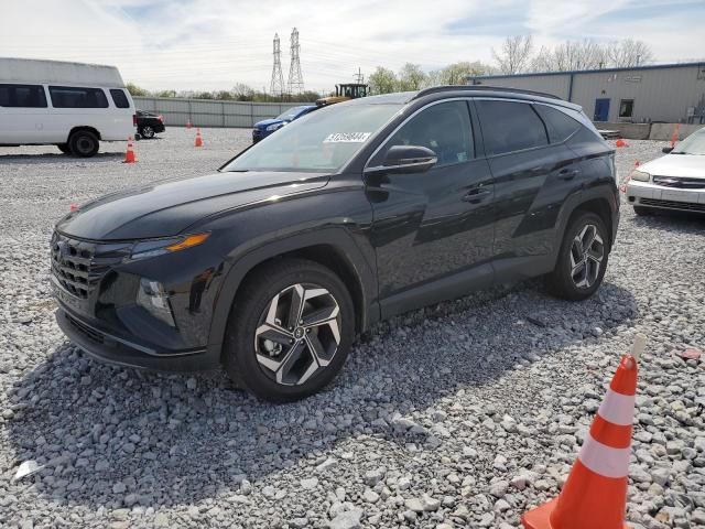 2024 Hyundai Tucson Limited