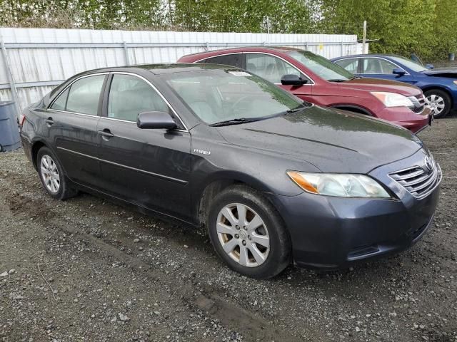 2007 Toyota Camry Hybrid