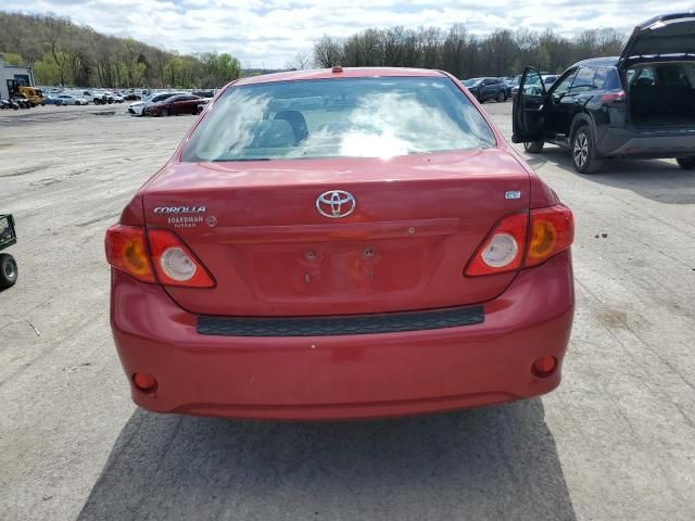 2010 Toyota Corolla Base