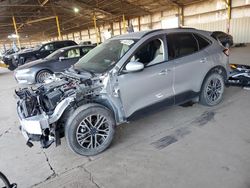 Salvage cars for sale at Phoenix, AZ auction: 2020 Ford Escape SEL