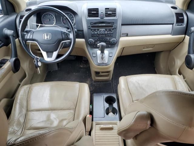 2010 Honda CR-V EXL