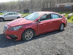 Vehiculos salvage en venta de Copart Finksburg, MD: 2017 Hyundai Sonata SE