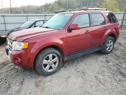 Ford Escape salvage cars for sale: 2012 Ford Escape Limited