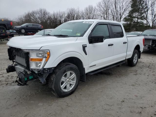 2022 Ford F150 Supercrew