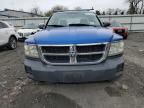 2008 Dodge Dakota SXT