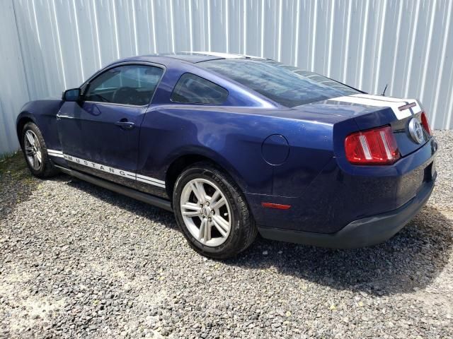 2010 Ford Mustang