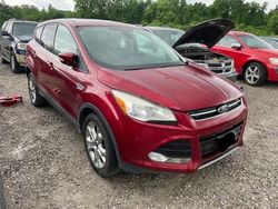 Ford salvage cars for sale: 2013 Ford Escape SEL