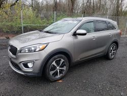Salvage cars for sale at New Britain, CT auction: 2017 KIA Sorento EX
