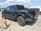 2023 Ford F150 Raptor